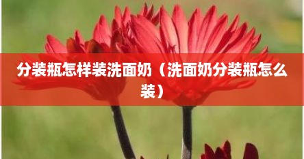 分装瓶怎样装洗面奶（洗面奶分装瓶怎么装）