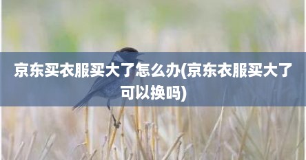 京东买衣服买大了怎么办(京东衣服买大了可以换吗)
