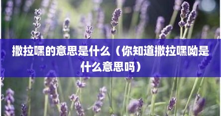 撒拉嘿的意思是什么（你知道撒拉嘿呦是什么意思吗）