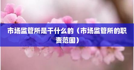 市场监管所是干什么的（市场监管所的职责范围）