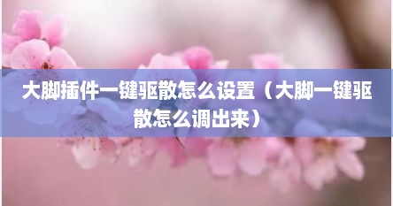大脚插件一键驱散怎么设置（大脚一键驱散怎么调出来）