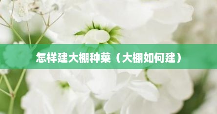 怎样建大棚种菜（大棚如何建）