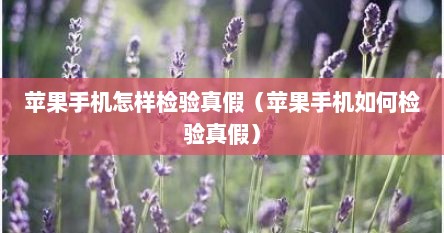 苹果手机怎样检验真假（苹果手机如何检验真假）