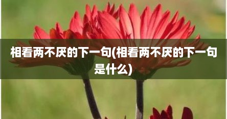 相看两不厌的下一句(相看两不厌的下一句是什么)