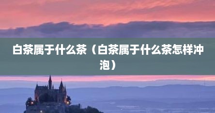 白茶属于什么茶（白茶属于什么茶怎样冲泡）