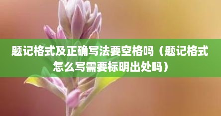 题记格式及正确写法要空格吗（题记格式怎么写需要标明出处吗）