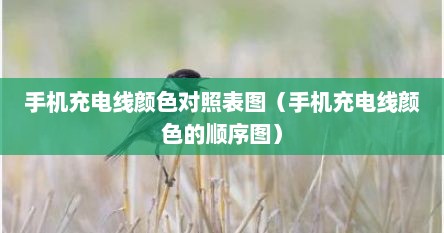手机充电线颜色对照表图（手机充电线颜色的顺序图）