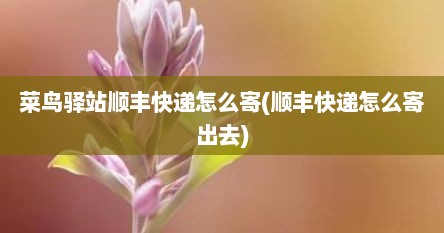 菜鸟驿站顺丰快递怎么寄(顺丰快递怎么寄出去)