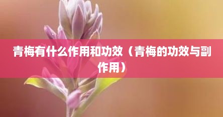 青梅有什么作用功效（青梅有什么功效和作用）