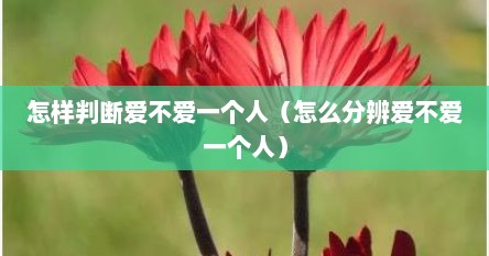 怎样判断爱不爱一个人（怎么分辨爱不爱一个人）