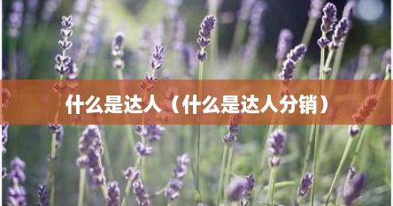 什么是达人（什么是达人分销）
