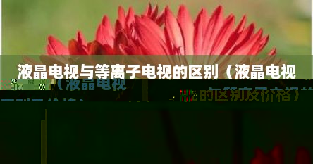 液晶电视与等离子电视的区别（液晶电视与等离子电视的区别及价格）