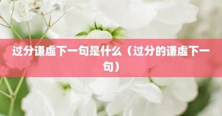 过分谦虚下一句是什么（过分的谦虚下一句）