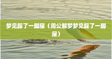 梦见踩了一脚屎（周公解梦梦见踩了一脚屎）