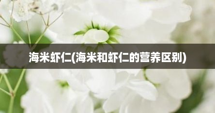 海米虾仁(海米和虾仁的营养区别)