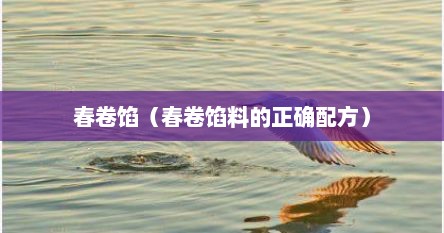 春卷馅（春卷馅料的正确配方）