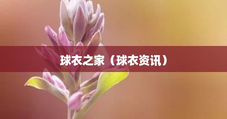 球衣芝家（球衣资讯）