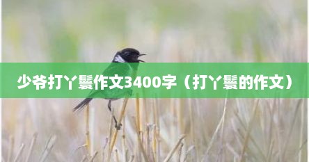 少爷打丫鬟作文3400字（打丫鬟的作文）