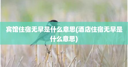 宾馆住宿无早是什么意思(酒店住宿无早是什么意思)