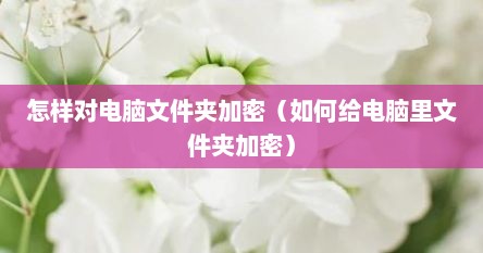 怎样对电脑文件夹加密（如何给电脑里文件夹加密）