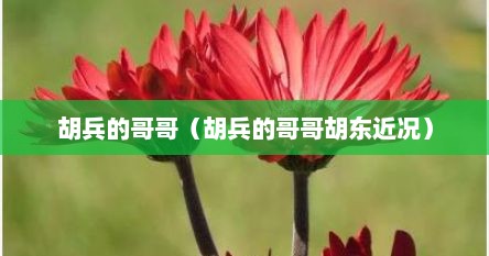 胡兵的哥哥（胡兵的哥哥胡东近况）