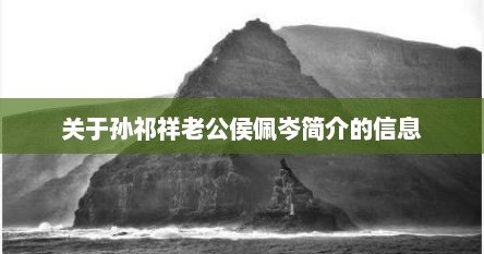 关于孙祁祥老公侯佩岑简介的信息