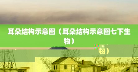 耳朵结构示意图（耳朵结构示意图七下生物）