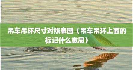 吊车吊环尺寸对照表图（吊车吊环上面的标记什么意思）
