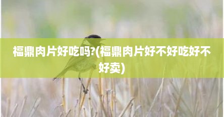 福鼎肉片好吃吗?(福鼎肉片好不好吃好不好卖)