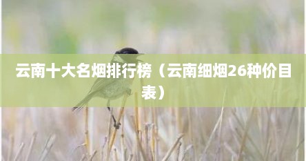 云南十大名烟排行榜(云南细烟26种价目表) 云南十大名烟排行榜(云南细烟26种价目表)