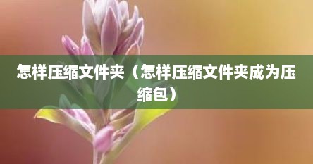 怎样压缩文件夹（怎样压缩文件夹成为压缩包）