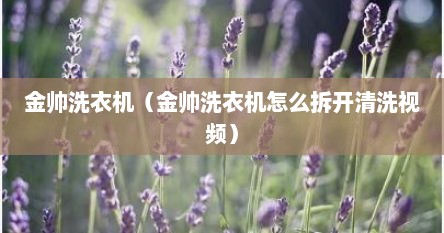 金帅洗衣机（金帅洗衣机怎么拆开清洗视频）