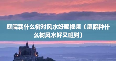 庭院栽什么树对风水好呢视频（庭院种什么树风水好又旺财）