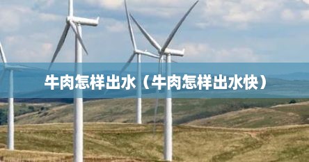 牛肉怎样出水（牛肉怎样出水快）