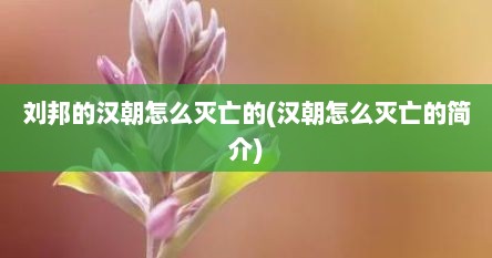 刘邦的汉朝怎么灭亡的(汉朝怎么灭亡的简介)