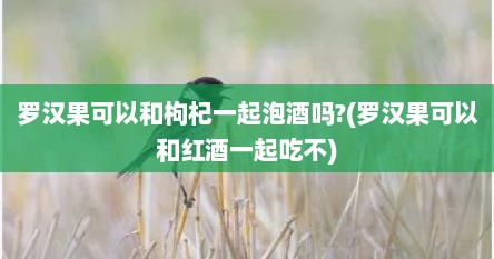 罗汉果可以和枸杞一起泡酒吗?(罗汉果可以和红酒一起吃不)