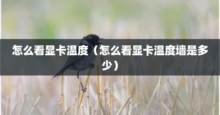 怎么看显卡温度（怎么看显卡温度墙是多少）