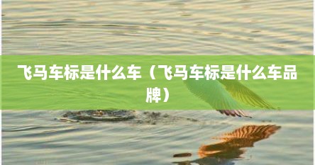 飞马车标是什么车（飞马车标是什么车品牌）