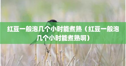 红豆一般泡几个小时能煮熟（红豆一般泡几个小时能煮熟啊）