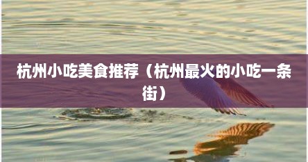 杭州小吃美食推荐（杭州最火的小吃一条街）