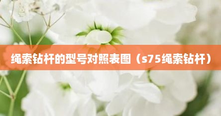 绳索钻杆的型号对照表图（s75绳索钻杆）