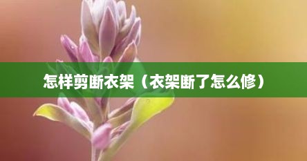 怎样剪断衣架（衣架断了怎么修）