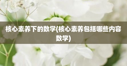 核心素养下的数学(核心素养包括哪些内容数学)
