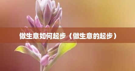 做生意如何起步（做生意的起步）