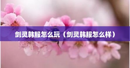 剑灵韩服怎么玩（剑灵韩服怎么样）