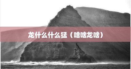 龙什么什么猛（啥啥龙啥）