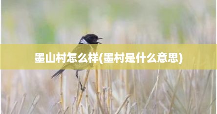 墨山村怎么样(墨村是什么意思)