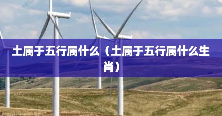 土属于五行属什么（土属于五行属什么生肖）