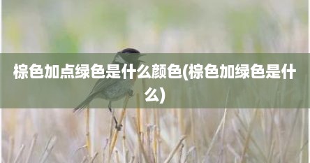 棕色加点绿色是什么颜色(棕色加绿色是什么)