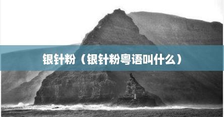 银针粉（银针粉粤语叫什么）
